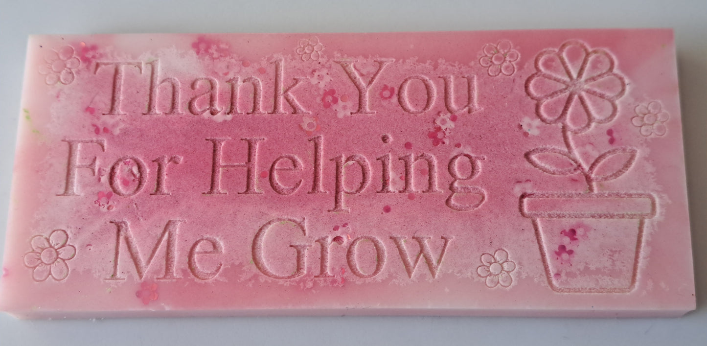 Teacher Thank You Gift Snap Bar