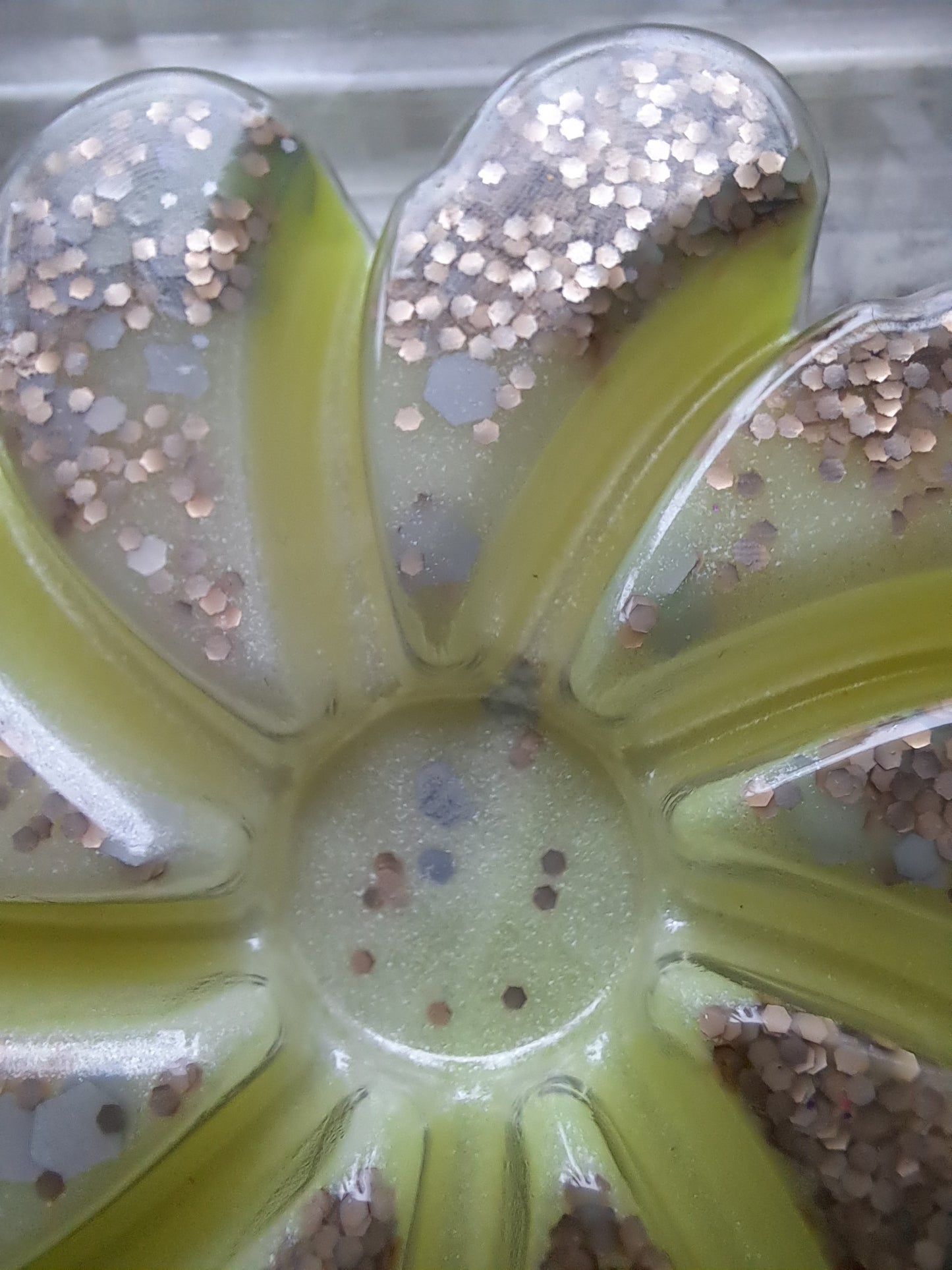 Flowers In My Hair Swirl Clamshell.