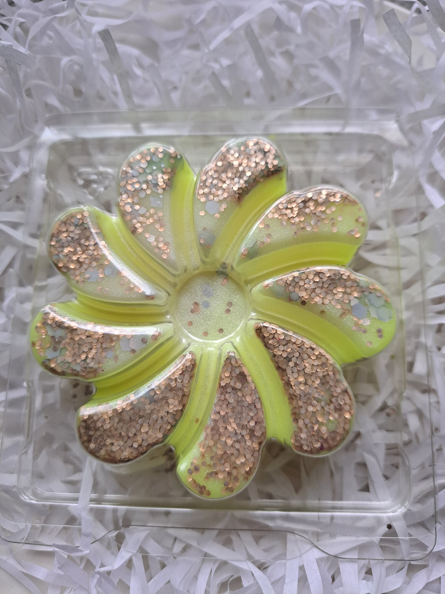 Flowers In My Hair Swirl Clamshell.