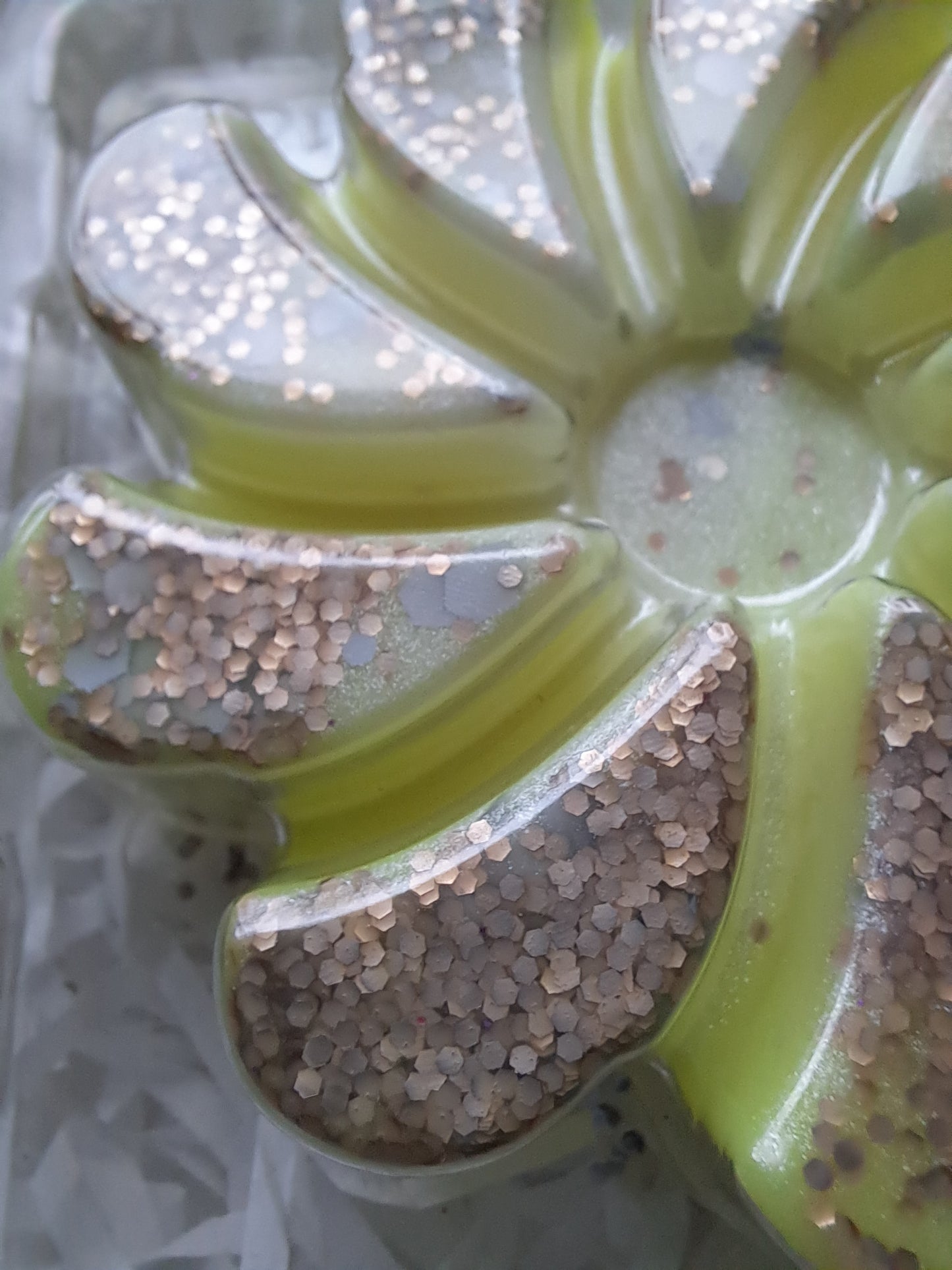 Flowers In My Hair Swirl Clamshell.